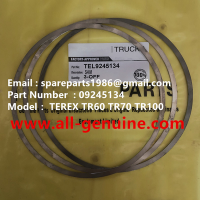 Китай TEREX 09245134 ШАЙБА NHL САМОСВАЛ TR35 TR50 TR60 TR100 3305B 3305F 3303 3307 TR45 TR70 MT4400 поставщик