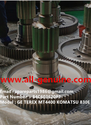 Китай 84C603620P1 GE 730E 830E TEREX UNIT RIG BUCYRUS MT4400AC MT5500 MT3600 NTE240 NTE260 поставщик