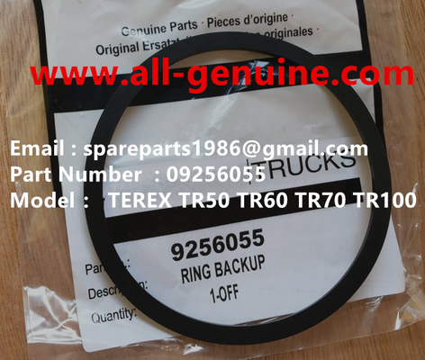 Китай TEREX 09256055 O RING NHL MINING DUMP TRICK TR35 TR50 TR60 TR100 3305B 3305F 3303 3307 TR45 TR70 MT4400 поставщик