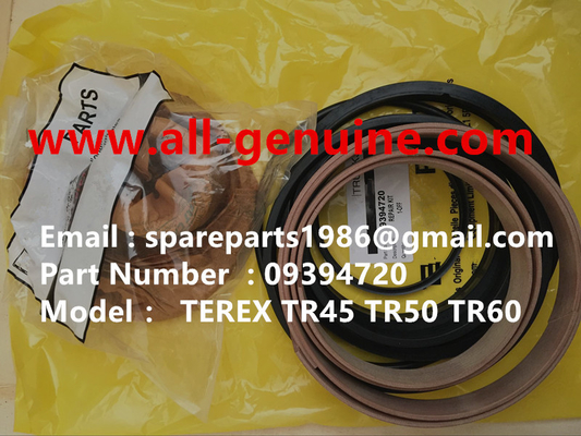 Китай 09394720 КИТ РЕПАРАЦИИ ТЕРЕКС НХЛ SANY TR35A 3303 3305 3307 TR50 TR60 TR100 NTE240 NTE260 MT3600 MT3700 MT4400AC поставщик