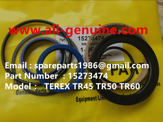 Китай 15273474 СЕРВИС КИТ TEREX НХЛ TR50 TR60 TR45 TR70 МИННЫЙ ДАМП ТРУК ОЧЕНЬНЫЙ поставщик