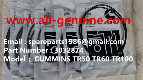 Китай 3032874 O RING CUMMINS TURBO CHARGER TEREX TR100 MINING RIGID DUMP TRUCK OFF HIGHWAY TRUCK Оригинальные запчасти поставщик