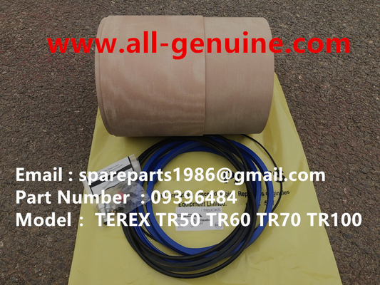 Китай 9396484 КОМПЛЕКТ ПОДВЕСКИ САМОСВАЛА TEREX TR35 TR50 TR60 TR100 CUMMINS ALLISON UNIT RIG MT4400 MT3600 MT3300 MT3700 SANY поставщик