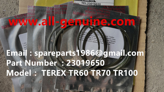 Китай 23019650 ALLISON TRANSMISSION TEREX TR35A 3305F 3305G 3305K 3305B RTD ОРИГИНАЛЬНЫЕ ЗАПЧАСТИ поставщик