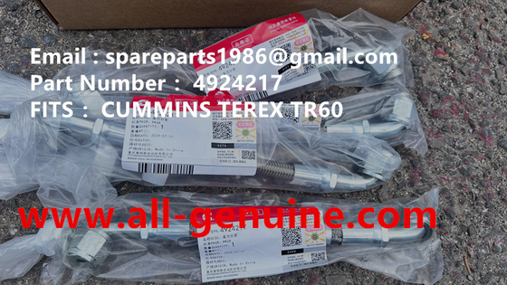 Китай 4924217 CUMMINS TEREX NHL КАРЬЕРНЫЙ САМОСВАЛ TR35 TR50 TR60 TR100 3305B 3305F 3303 3307 TR45 TR70 MT4400 поставщик