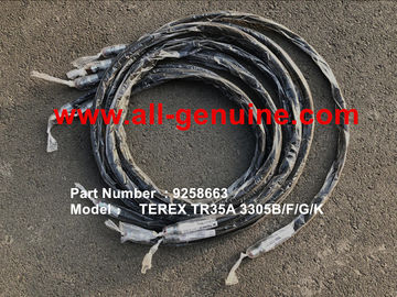 Китай TEREX 09258663 ШЛАНГ NHL ДЛЯ КАРЬЕРНЫХ САМОСВАЛОВ TR35 TR50 TR60 TR100 3305B 3305F 3303 3307 TR45 TR70 MT4400 поставщик