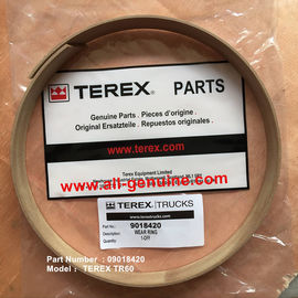Китай TEREX 09018420 ИЗНОСОСТОЙКОЕ КОЛЬЦО TR45 TR50 TR60 TR70 NHL КАРЬЕРНЫЙ САМОСВАЛ поставщик