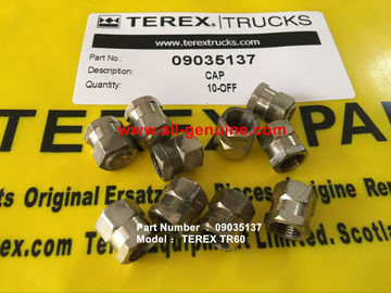Китай TEREX 09035137 CAP NHL DUMP TRUCK МИННЫЙ карьер TR50 TR60 TR70 поставщик