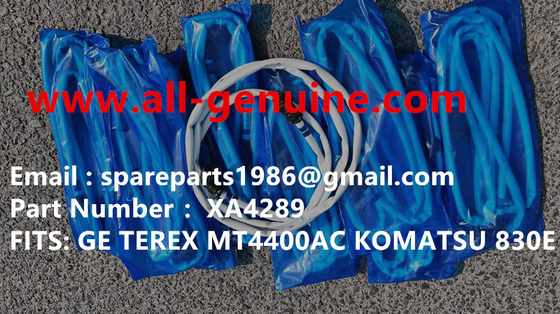 Китай XA4289 МОТОР-КОЛЕСО GE 5GEB25A KOMATSU 730E 830E TEREX UNIT RIG BUCYRUS MT4400AC MT5500 MT3600 NTE240 NTE260 поставщик
