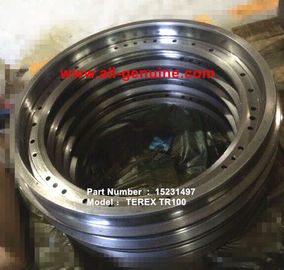Китай TEREX 15231497 ПОРШЕНЬ NHL САМОСВАЛ КАРЬЕРНЫЙ TR50 TR60 TR70 TR100 поставщик