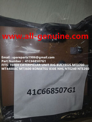 Китай 41C668507G1 ПАНЕЛЬ ОБЛОЖНОЙ ТЕМПЕРАТУРЫ ВАЗА GE TEREX UNIT RIG BUCYRUS поставщик