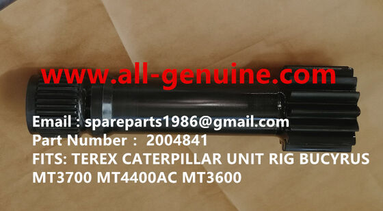 Китай 2004841 SUN PINION GE TEREX UNIT RIG BUCYRUS MT4400AC MT5500 MT3600 NTE240 NTE260 НХЛ ДАМП ТРУК ТРУКЛЫ МИНИНГ поставщик
