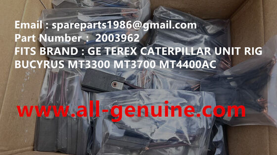 Китай 2003962 ЩЕТКА MT4400AC MT5500 MT3600 MT3700 MT3300 TEREX UNIT RIG BUCYRUS NTE240 NTE260 ПРИВОД КОЛЕСНОГО ДВИГАТЕЛЯ GE поставщик