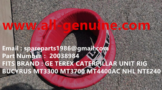 Китай 20038984 BEARING MT4400AC MT5500 MT3600 MT3700 MT3300 TEREX UNIT RIG BUCYRUS NTE240 NTE260 WHEEL MOTOR DRIVE GE поставщик