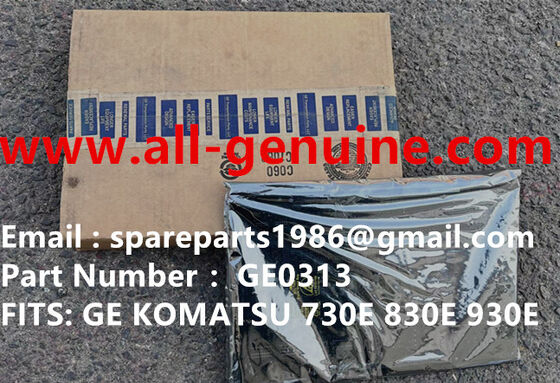 Китай GE0313 КАРТА поставщик