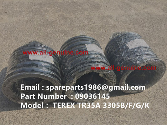 Китай 09036145 ТОРМОЗНАЯ КОЖАНАЯ ЧАШКА TEREX NHL SANY TR35A 3303 3305 3307 TR50 TR60 TR100 NTE240 NTE260 MT3600 MT3700 MT4400AC поставщик