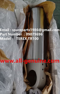 Китай 09079696 ПИСТОН ТЕРЕКС НХЛ ДАМП ТРУК МИНИНГ TA40 TR50 TR60 TR70 TR100 MT4400 MT3600 MT3700 MT5500 GE NTE240 NTE260 поставщик