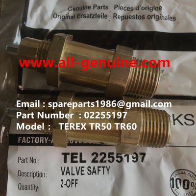 Китай 02255197 ПРЕДОХРАНИТЕЛЬНЫЙ КЛАПАН TEREX NHL САМОСВАЛ TA40 TR50 TR60 TR70 TR100 MT4400 MT3600 MT3700 MT5500 GE NTE240 NTE260 поставщик