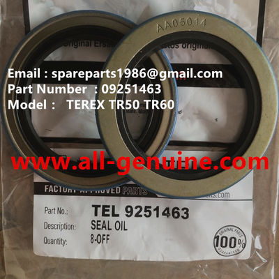 Китай 09251463 УПЛОТНЕНИЕ TEREX NHL САМОСВАЛ TA40 TR50 TR60 TR70 TR100 MT4400 MT3600 MT3700 MT5500 GE NTE240 NTE260 поставщик