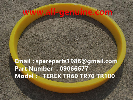 Китай Terex 09066677 Ring NHL Самовалд. поставщик