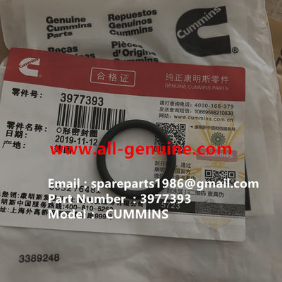 Китай 3977393 O RING CUMMINS ENGINE TEREX NHL DUMP TRUCK TR35 TR50 TR60 TR100 3305B 3305F 3303 3307 TR45 TR70 MT4400 поставщик