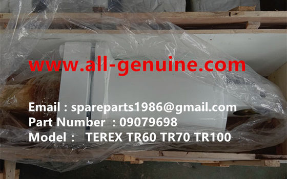 Китай 09079698 ЗАДНИЙ ЦИЛИНДР ПОДВЕСКИ TEREX NHL SANY TR35A 3303 3305 3307 TR50 TR60 TR100 NTE240 NTE260 MT3600 MT3700 MT4400AC поставщик