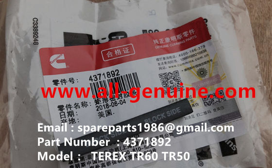 Китай CUMMINS 4371892 УПЛОТНЕНИЕ NHL САМОСВАЛ TR35 TR50 TR60 TR100 3305B 3305F 3303 3307 TR45 TR70 TEREX ALLISON UNIT RIG MT4400 поставщик