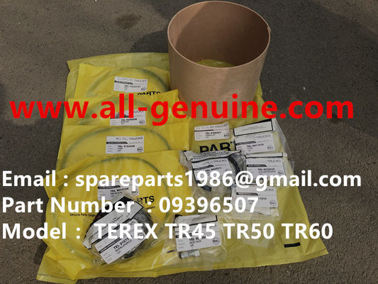 Китай TEREX 09396507 ОВЕРХАУЛ КИТ НХЛ ДАМП ТРУК TR35 TR50 TR60 TR100 3305B 3305F 3303 3307 TR45 TR70 MT4400 КАММИНС ЭЛЛИСОН поставщик