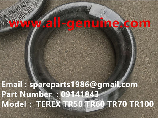 Китай TEREX 09141843 ШЛАНГ CUMMINS САМОСВАЛ КАРЬЕРНЫЙ TR50 TR60 TR70 TR100 TR45 TR35A 3305B 3305F 3305G 3305K 3307 3311E поставщик