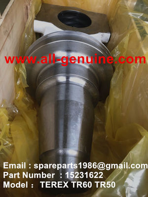 Китай TEREX 15231622 SPINDLE LH OFF HIGHWAY NHL MINING DUMP TRICK TR35 TR50 TR60 TR100 3305B 3305F 3303 3307 TR45 TR70 MT4400 поставщик