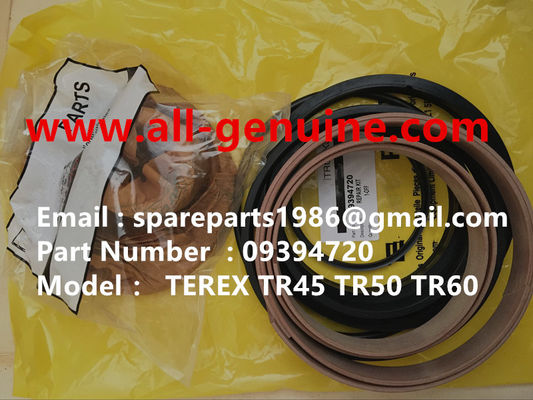 Китай 9394720 РЕМОНТНЫЙ КОМПЛЕКТ ДЛЯ TEREX NHL SANY TR35A 3303 3305 3307 TR50 TR60 TR100 NTE240 NTE260 MT3600 MT3700 MT4400AC поставщик