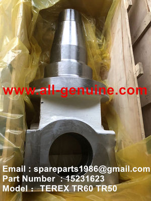 Китай TEREX 15231623 ШПИНДЕЛЬ ПРАВЫЙ ВНЕДОРОЖНЫЙ КАРЬЕРНЫЙ САМОСВАЛ NHL TR35 TR50 TR60 TR100 3305B 3305F 3303 3307 TR45 TR70 MT4400 поставщик