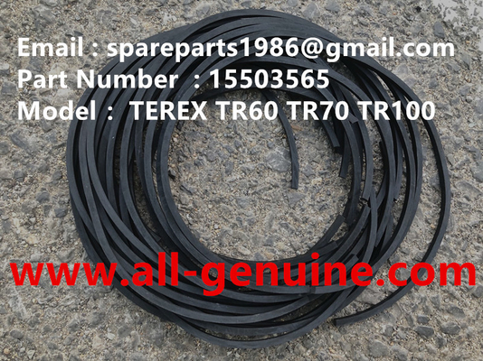 Китай 15503565 SEAL TEREX НХЛ ДАМП ТР100 ТРУК ТРУК ОФ ШАЙС поставщик