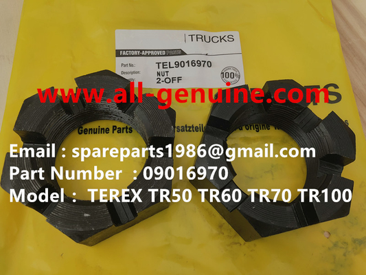 Китай TEREX 09016970 НУТ ОФ ШАЙС НХЛ МИННЫЙ ДАМП ТР35 ТР50 ТР60 ТР100 3305Б 3305Ф 3303 3307 ТР45 ТР70 МТ4400 поставщик
