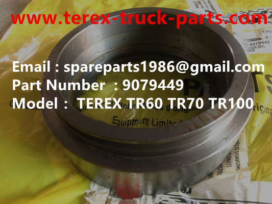 Китай 09079449 ФИКСАТОР ALLISON TEREX САМОСВАЛ TA40 TR50 TR60 TR70 TR100A MT4400 MT3600 MT3700 MT5500 GE NTE240 NTE260 поставщик